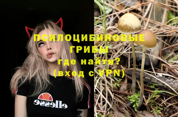 хмурый Алзамай