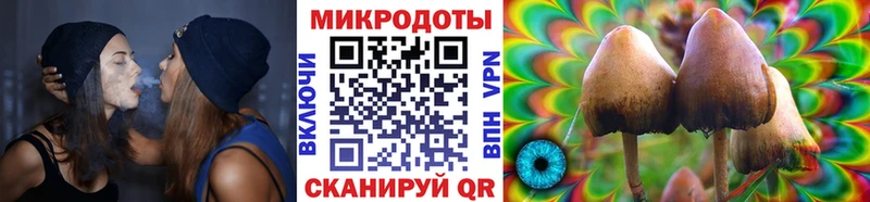 наркотики  мориарти Telegram  Псилоцибиновые грибы GOLDEN TEACHER  Каменка 